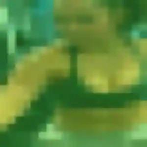 Découvre Wahiba, 43 ans à Rians gratuitement