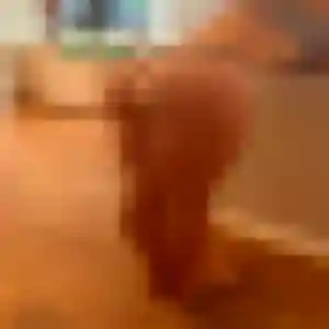 Charmante Melissa, 43 ans à Rieux - découvrir son profil