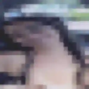 Profil de Sabrina à Rieux (24 ans) - beurette gratuit