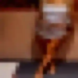 Photo de Saida à Riquewihr (33 ans) - beurette gratuit