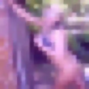 Photo de Aicha à Rittershoffen (34 ans) - beurette discret