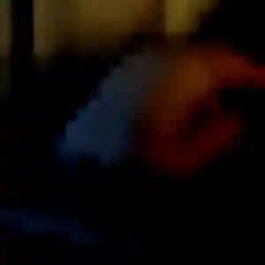 Lamia, femme de 33 ans cherche beurette à Rives-du-Couesnon