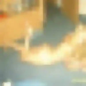 Sexy Samia, 32 ans à Rollot - la contacter