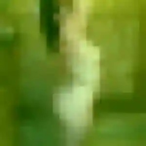 Photo privée de Rabia, 25 ans à Rombies-et-Marchipont - rencontre coquine