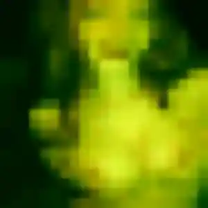Photo privée de Ghizlane, 24 ans à Roppentzwiller - rencontre sans lendemain