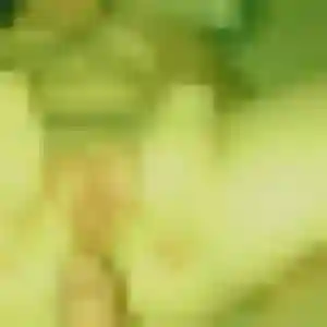 Photo de Katia à Roquefort-des-Corbières (34 ans) - beurette discret