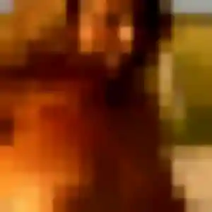 Photo privée de Rachida, 26 ans à Roscanvel - rencontre sans lendemain