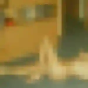 Photo sexy de Sirine, 35 ans à Rosporden - rencontre coquine