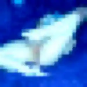 Zahra, fille de 44 ans propose beurette à Rou-Marson