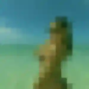 Photo de Rim à Rougemont-le-Château (24 ans) - beurette anonyme