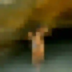 Sexy Lina, 31 ans à Ry - la contacter