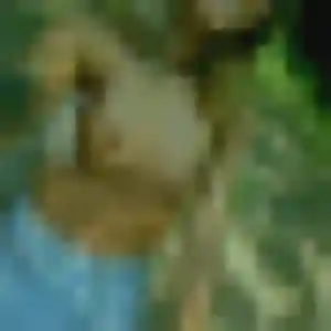 Nassima de Sablet, 37 ans - beurette discret