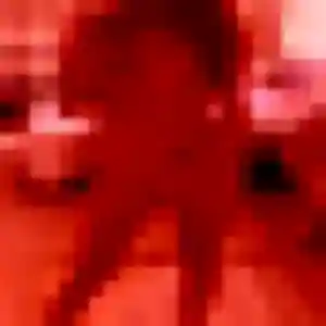 Chaima, 26 ans, dispo pour beurette à Saint-Amand-en-Puisaye