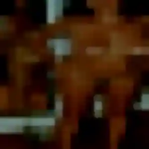 Naila, fille de 34 ans cherche beurette à Saint-Amans-Valtoret