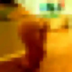 Samira, fille de 31 ans cherche beurette à Saint-Amant-Tallende
