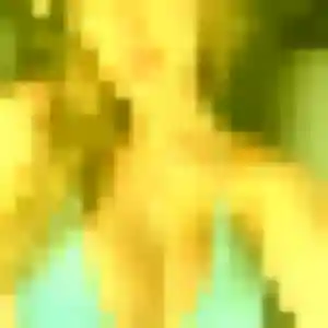 Photo exclusive de Wafa, 34 ans à Saint-André-et-Appelles - plan discret
