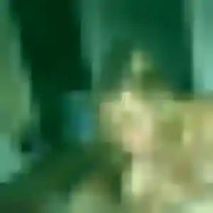 Ikram de Saint-Aubin-des-Bois, 34 ans - beurette discret