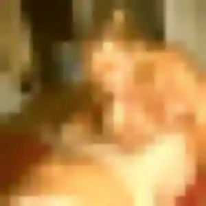 beurette à Saint-Bonnet-de-Mure : photo de Loubna, 22 ans - accès libre