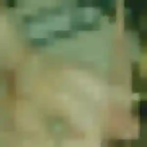 Photo de Soraya à Saint-Brice-sur-Vienne (40 ans) - beurette discret