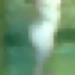 Mounia, fille de 26 ans cherche beurette à Saint-Chamond
