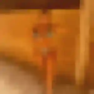 Photo exclusive de Djamila, 34 ans à Saint-Christophe-du-Bois - rencontre coquine