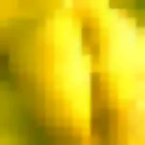 Talia, femme de 35 ans cherche beurette à Saint-Ciers-d'Abzac