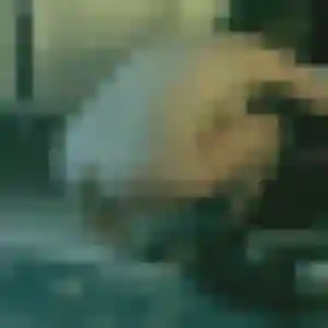 Photo de Naila à Saint-Clément (44 ans) - beurette discret