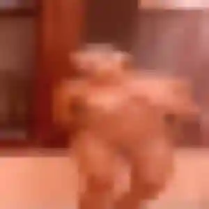 Photo sexy de Ghizlane, 26 ans à Saint-Clément - plan discret