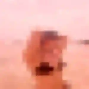 Photo de Mina à Saint-Denis-de-Jouhet (26 ans) - beurette gratuit