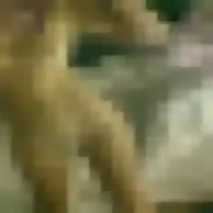 Photo de Yamina à Saint-Étienne-lès-Remiremont (28 ans) - beurette sans inscription