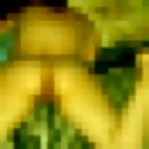 Nour, 23 ans, connectée à Saint-Eutrope-de-Born pour une rencontre coquine