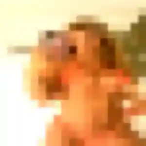 Photo privée de Linda, 31 ans à Saint-Forgeux-Lespinasse - rencontre sans lendemain