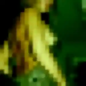 Photo de Sonia à Saint-Gelais (29 ans) - beurette sans inscription