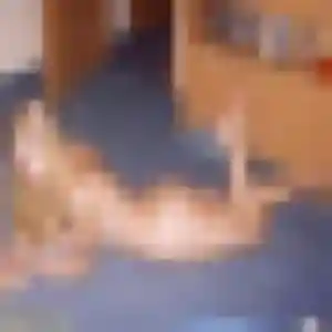 Najat, fille de 41 ans veut beurette à Saint-Georges-de-Reintembault