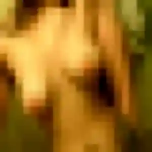 Mina, femme de 42 ans cherche beurette à Saint-Georges-sur-Eure
