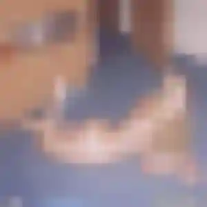 Tinhinane (35 ans) à Saint-Germain-des-Prés propose un beurette rapidement