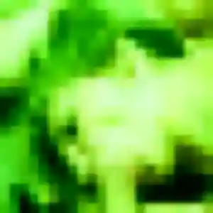 Layla de Saint-Germain-le-Gaillard, 32 ans - beurette discret
