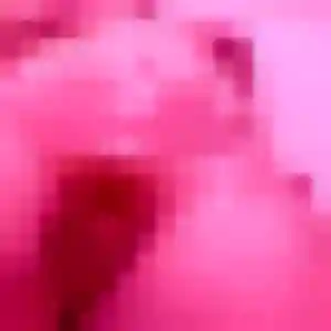 Photo privée de Lamia, 44 ans à Saint-Gervais-la-Forêt - rencontre coquine