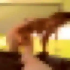 Syrine (44 ans) à Saint-Herblain cherche une rencontre rapidement
