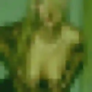 Lila (36 ans) à Saint-Hilaire-de-la-Côte cherche une rencontre maintenant