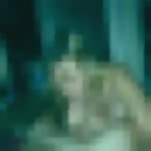 Aicha (34 ans) à Saint-Jorioz cherche une rencontre rapidement