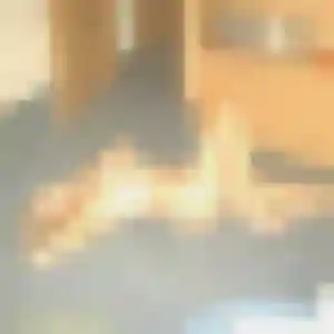 Photo de Syrine à Saint-Julien-de-Cassagnas (45 ans) - beurette gratuit