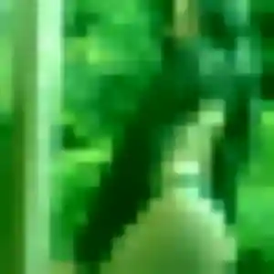 Sexy Ihsane, 22 ans à Saint-Julien-Molin-Molette - la contacter