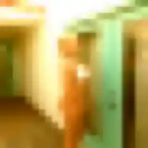 Photo de Naila à Saint-Just-en-Chevalet (40 ans) - beurette gratuit