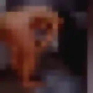 Photo de Mounia à Saint-Laurent (25 ans) - beurette anonyme