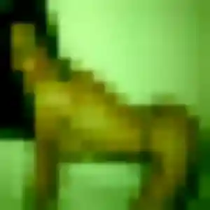 Belle Wafa, 33 ans à Saint-Louis - la contacter
