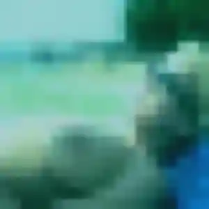 Photo de Yamina à Saint-Macaire (44 ans) - beurette gratuit