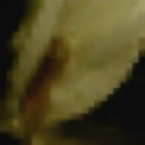 Photo perso de Emna, 41 ans à Saint-Maixent - rencontre coquine