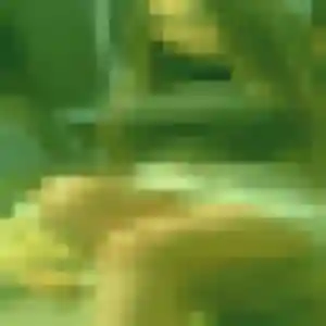 Profil de Fatou à Saint-Martial-de-Valette (35 ans) - beurette discret