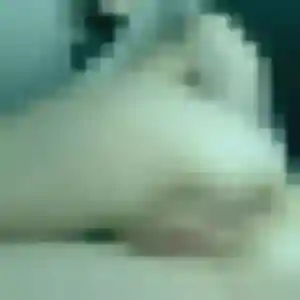 Safia, 45 ans, dispo pour beurette à Saint-Martin-d'Ardèche
